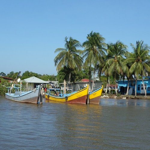 Реки Суринама  на букву  nonograms