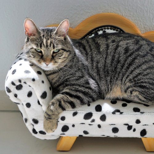 Пазл «Полосатая кошка в кресле»