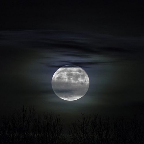 Тест по стихотворению Фета «Сияла ночь. Луной был полон сад...»