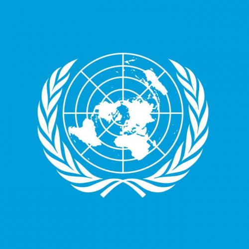 Тест «ООН»
