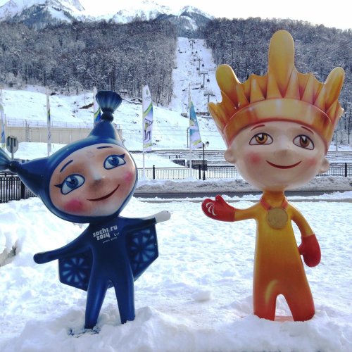 Тест «Зимние Паралимпийские игры 2014»