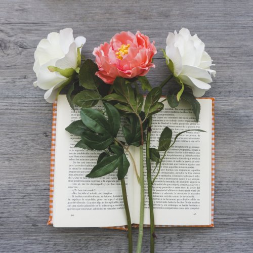 Тест «Цветы в стихах»
