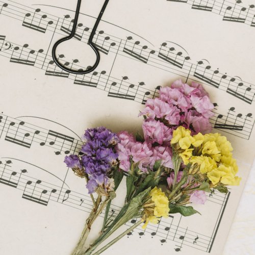 Тест «Цветы в песнях»