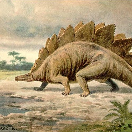 Викторина-тест «Стегозавры»