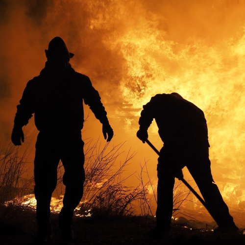 Кроссворд по ОБЖ: Пожары