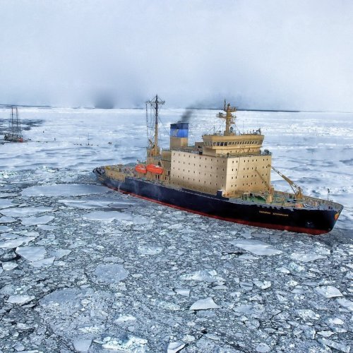 Кроссворд «Северный Ледовитый океан»