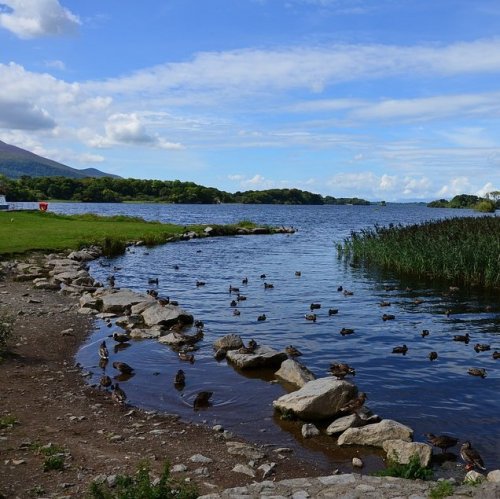 Список рек Северной Ирландии