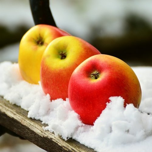 Зимние сорта яблонь  на букву  obzory