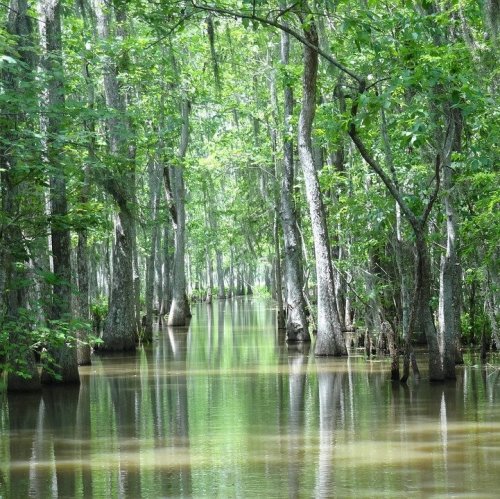 Список рек Луизианы