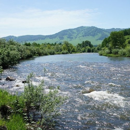 Притоки реки Ануй  на букву  spiski