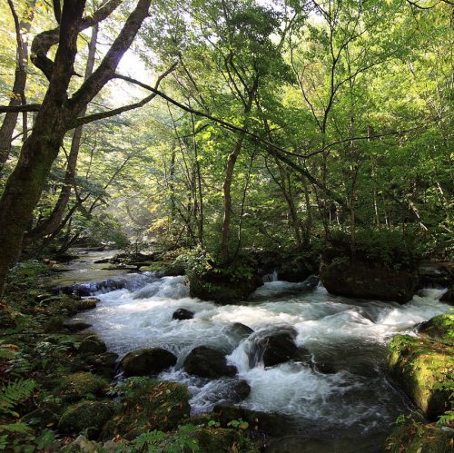 Национальные парки Японии  на букву  vse-interesnye-fakty