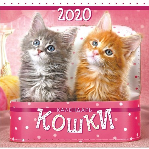 Календарь с котятами 2020