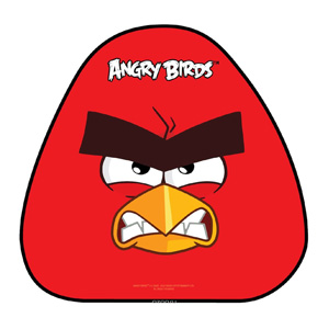 Ледянка для мальчика «Angry Birds»