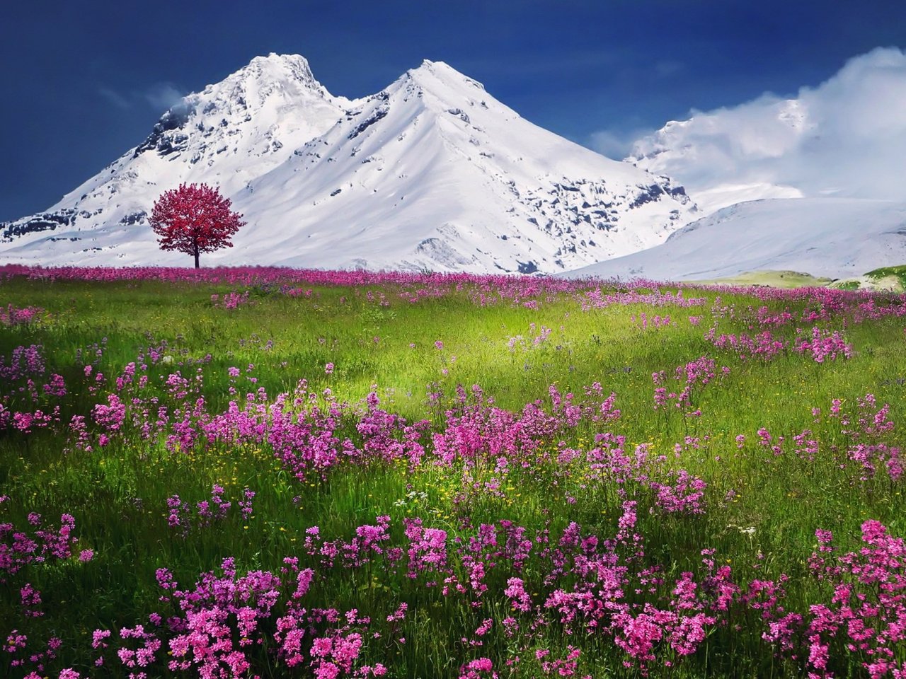Пазл онлайн «Альпы: горы и цветущие луга»