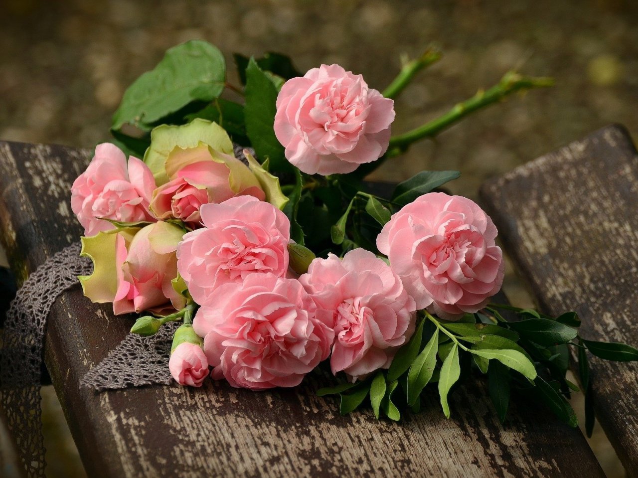 Пазл онлайн: Нежно-розовые розы