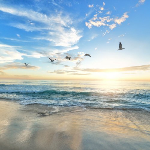 Пазл «Восход на пляже»