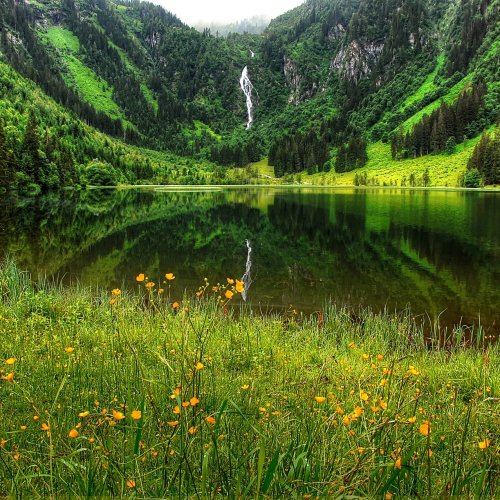 Пазл «Цветущая поляна у горного озера»