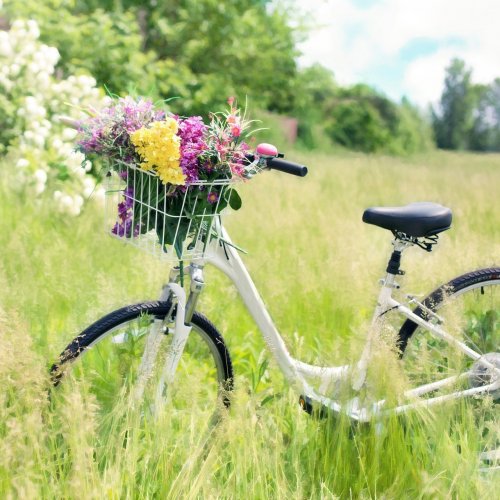 Пазл «Лето: Велосипед и цветы»