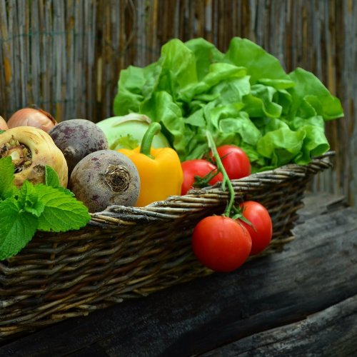 Пазл «Свежие овощи в корзине»