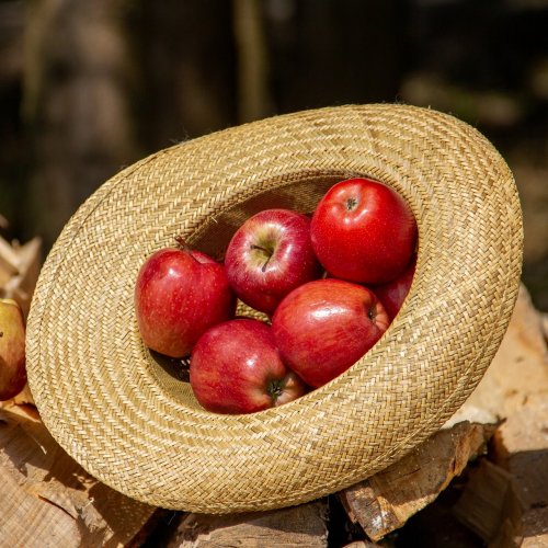 Пазл «Яблоки в шляпе»
