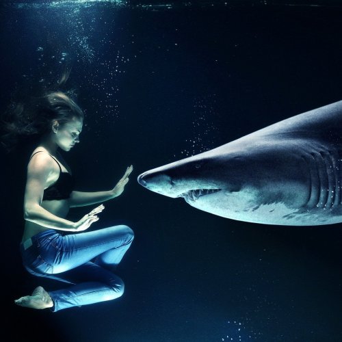 Пазл «Девушка и акула»
