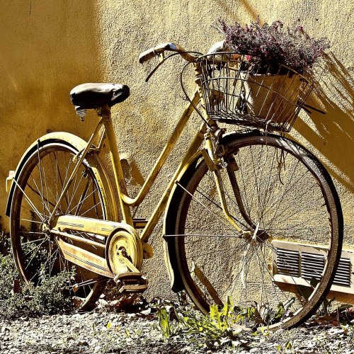 Пазл «Сельский велосипед»