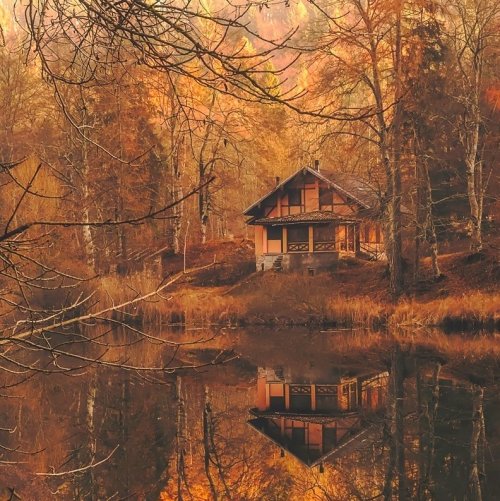 Пазл «Осень. Озеро. Листопад»