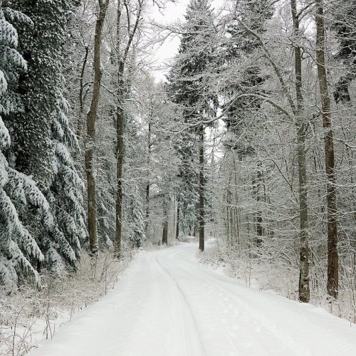 Пазл «Зимняя дорога»