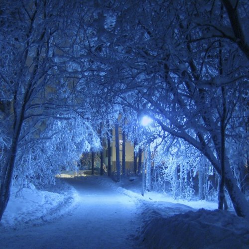 Пазл «Зимняя ночь»