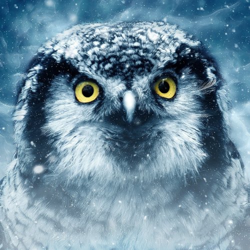 Пазл онлайн: Совушка в снегу