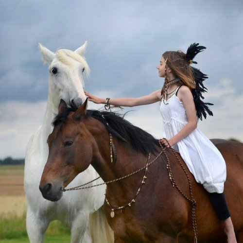 Пазл «Девочка и лошади»