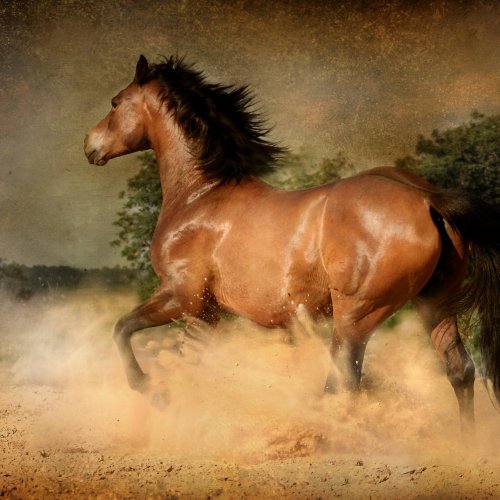 Пазл «Бегущий конь»