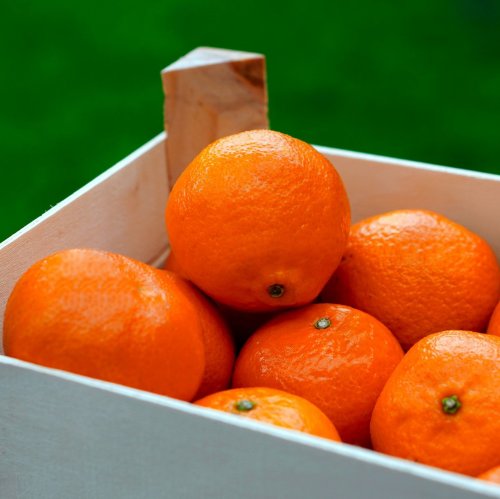 Пазл онлайн: Коробка с апельсинами