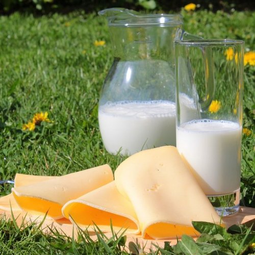 Тест: Молочные продукты