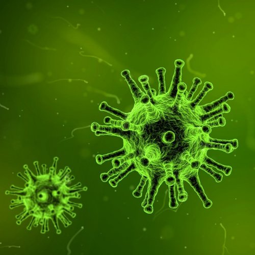 Тест по биологии: Вирусы — неклеточная форма жизни (Пасечник, 10 класс)