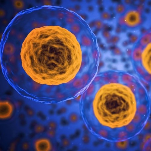 Тест по биологии: Строение клетки. Клеточная мембрана. Цитоплазма (Пасечник, 10 класс)