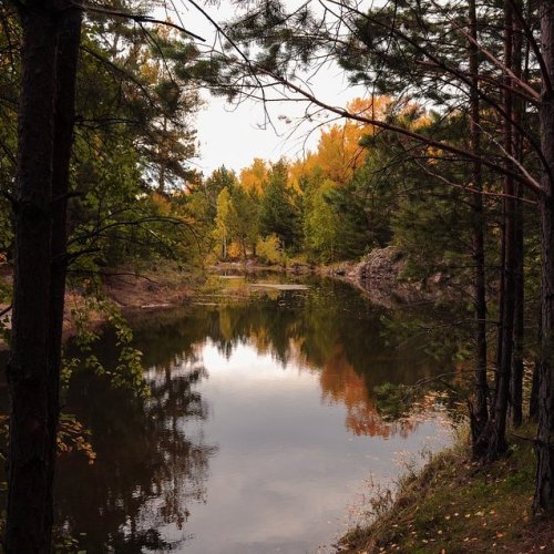 Тест по стихотворению Батюшкова «Есть наслаждение и в дикости лесов...»