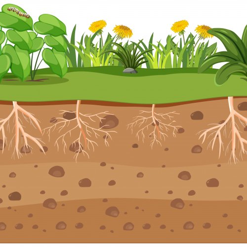 Тест: Почва — особое природное тело