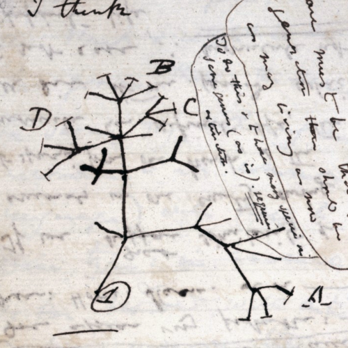 Тест по биологии «Таинственный LUCA» для 11 класса