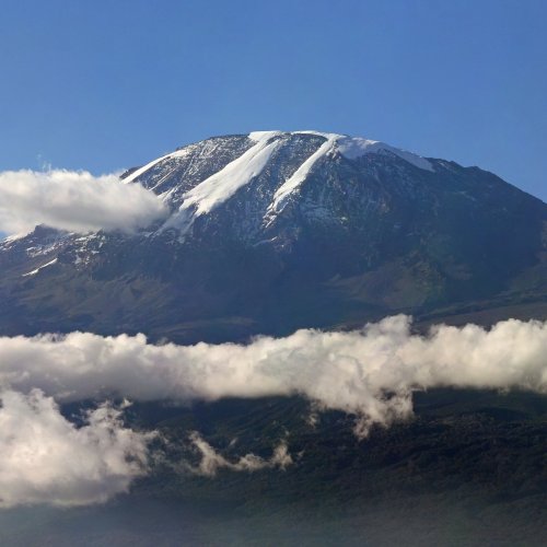 Викторина «Килиманджаро»
