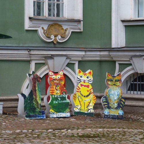 Викторина «Коты и кошки Санкт-Петербурга»