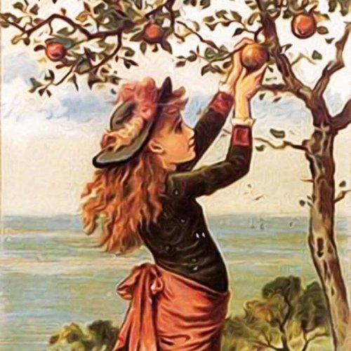 Викторина по сказке «Сказка о молодильных яблоках и живой воде»