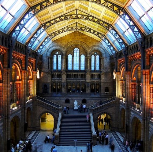 Викторина «Музей естествознания в Лондоне»