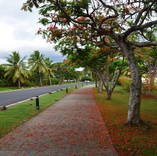 Викторина «Сува — столица Фиджи»