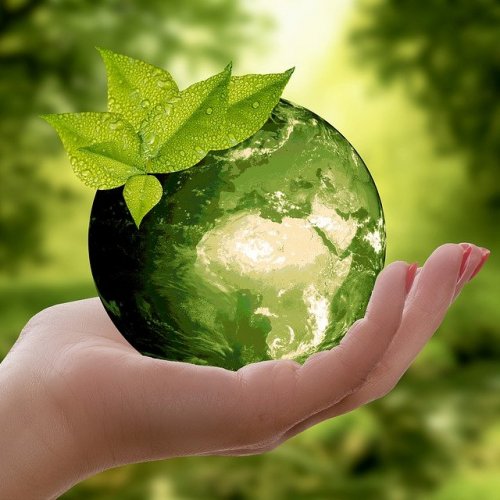 Тест по окружающему миру «Мир глазами эколога»