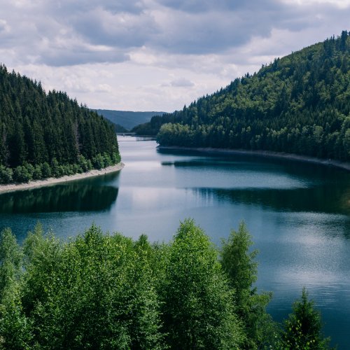 Тест по окружающему миру: Куда текут реки