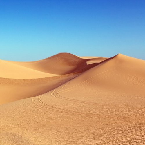 Тест по окружающему миру «Пустыни»