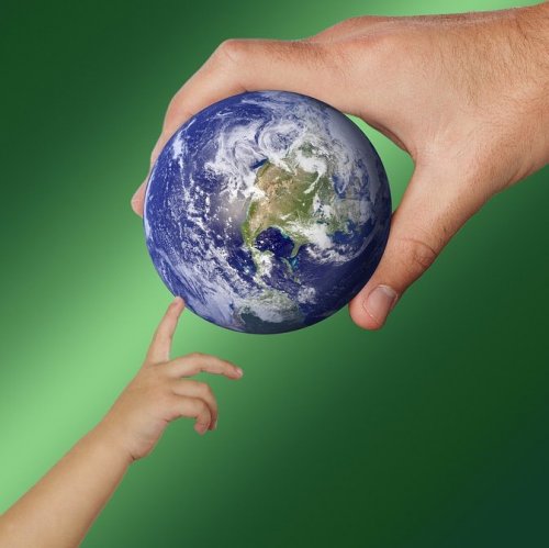 Тест по окружающему миру «Почему мы часто слышим слово экология»
