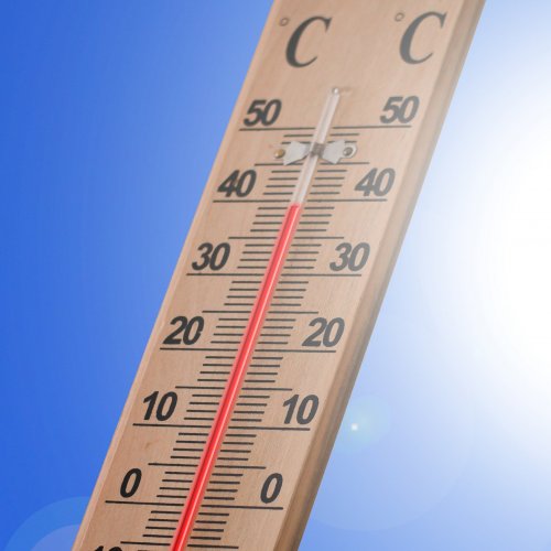 Тест по географии «Температура воздуха на разных широтах»