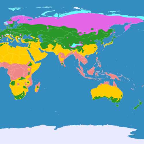 Тест по географии «Климатические пояса и области Земли»